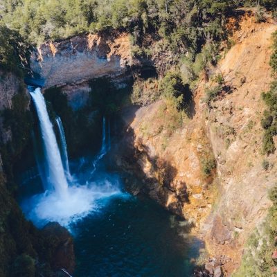 Radal Siete Tazas (Molina)