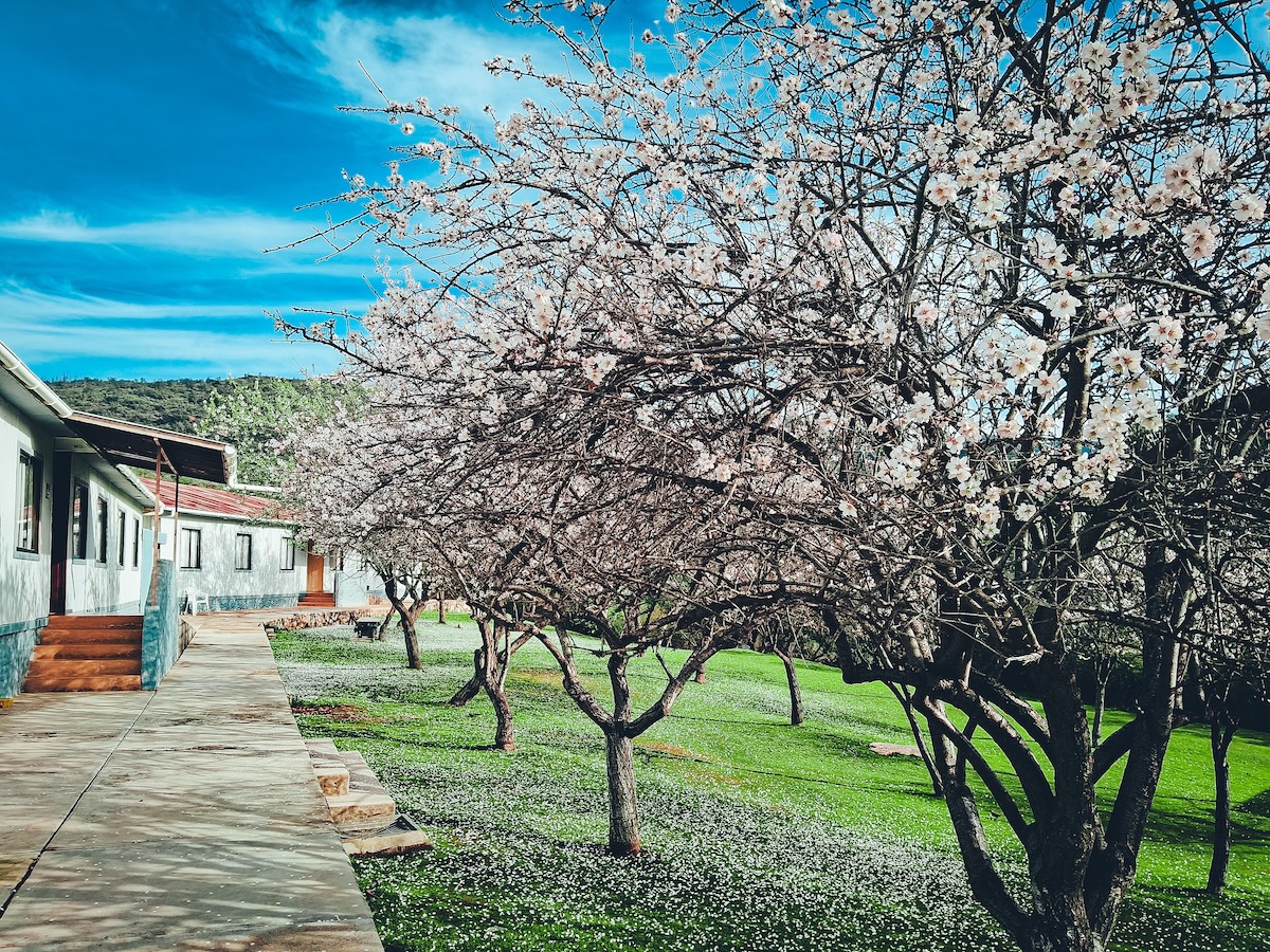 Habitación 4 personas – Lliu Lliu