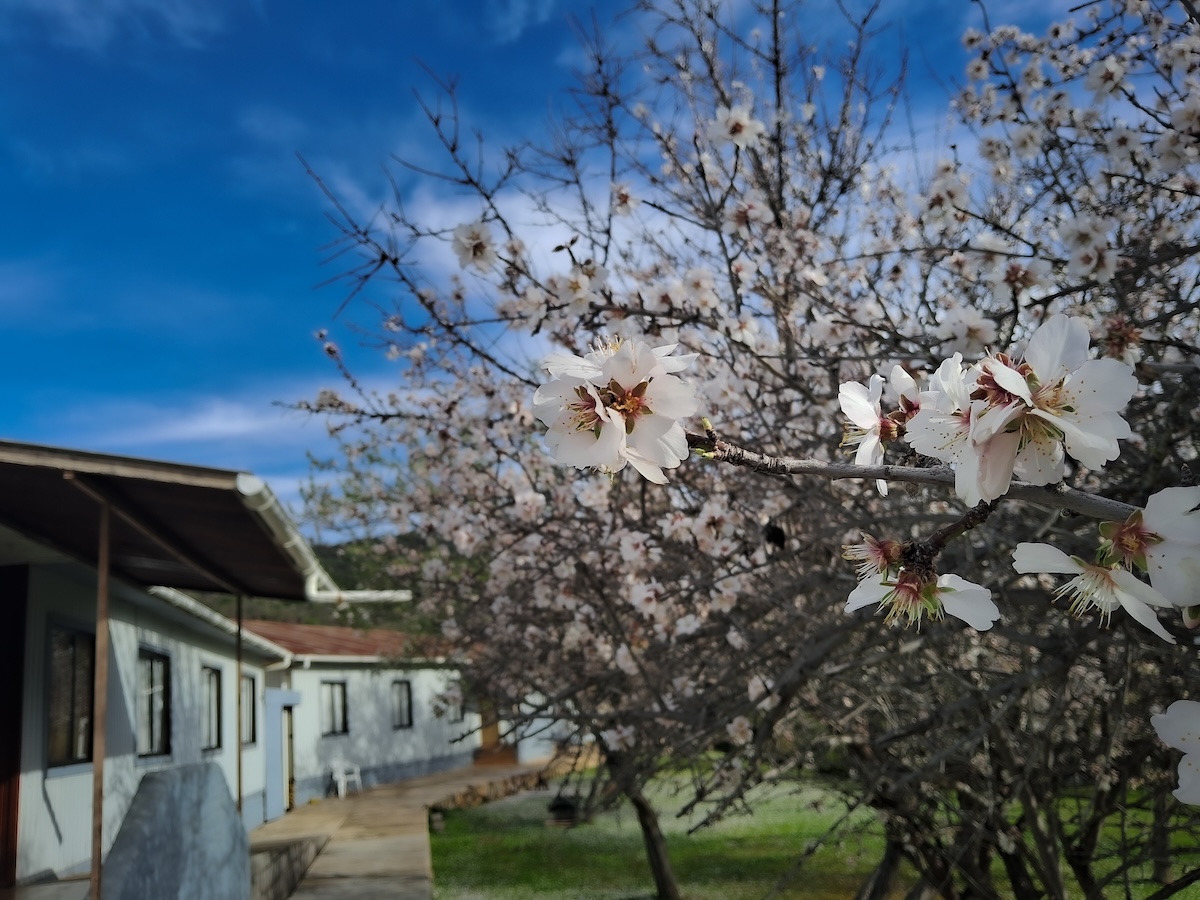 Habitación 4 personas – Lliu Lliu